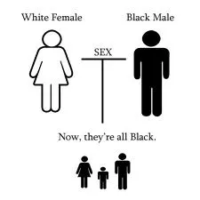 МЕЖ РАСОВЫЕ БРАКИ