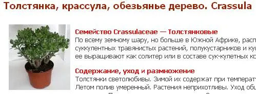 Учимся думать сами или кто объявил войну Левашову. Часть 3 Учимся думать сами или кто объявил войну Левашову. Часть 3