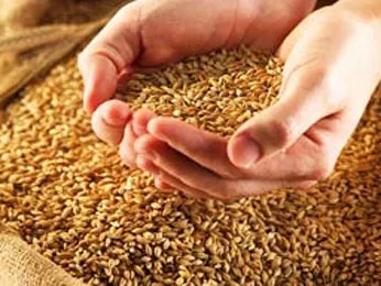 Заветы о правде