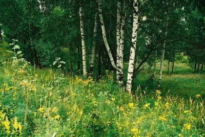 Русский человек
