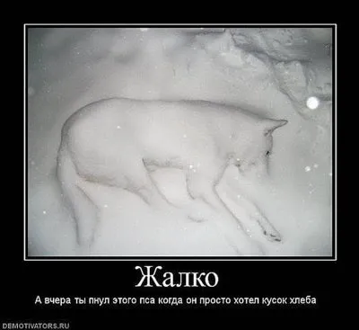 Славянские Демотиваторы Часть 18