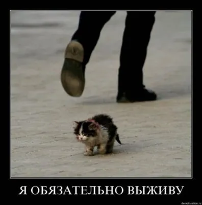 Славянские Демотиваторы Часть 18