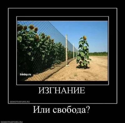 Славянские Демотиваторы Часть 18