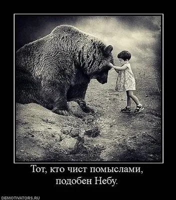 Славянские Демотиваторы Часть 18