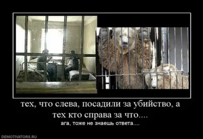 Славянские Демотиваторы Часть 18