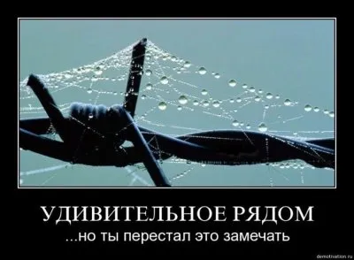 Славянские Демотиваторы Часть 18