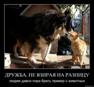 Славянские Демотиваторы Часть 18