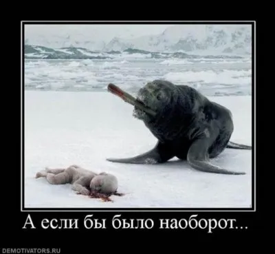 Славянские Демотиваторы Часть 18