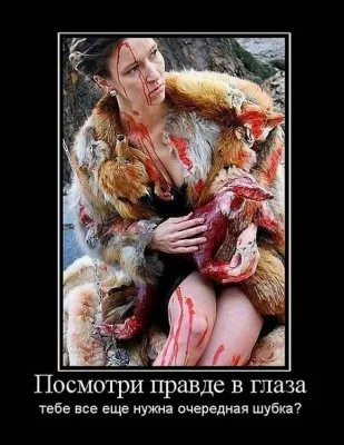 Славянские Демотиваторы Часть 18