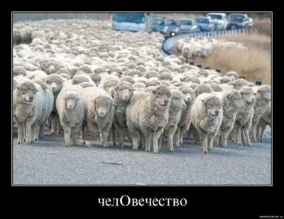 Славянские Демотиваторы Часть 18