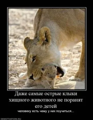 Славянские Демотиваторы Часть 18