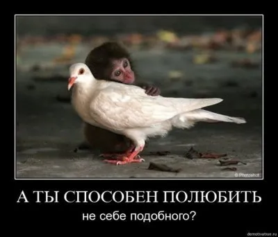 Славянские Демотиваторы Часть 18