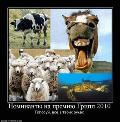 Славянские Демотиваторы Часть 18