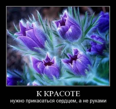 Славянские Демотиваторы Часть 18