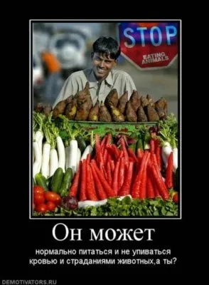 Славянские Демотиваторы Часть 18