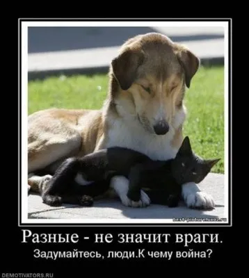 Славянские Демотиваторы Часть 18