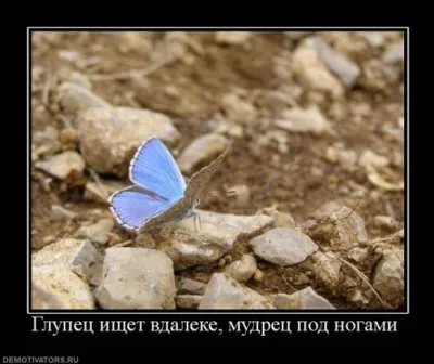 Славянские Демотиваторы Часть 18