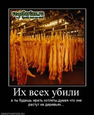 Славянские Демотиваторы Часть 18