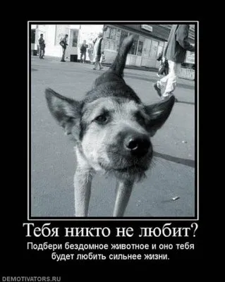 Славянские Демотиваторы Часть 18