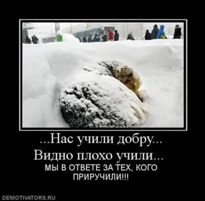 Славянские Демотиваторы Часть 18