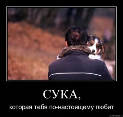 Славянские Демотиваторы Часть 18