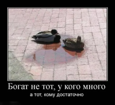 Славянские Демотиваторы Часть 18