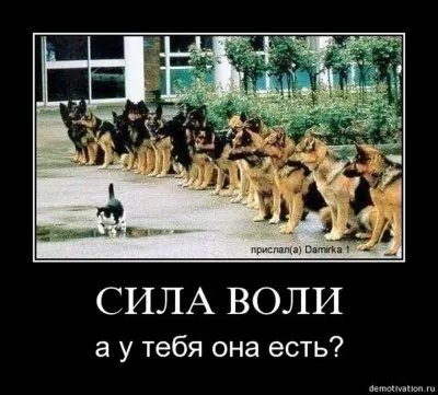 Славянские Демотиваторы Часть 18