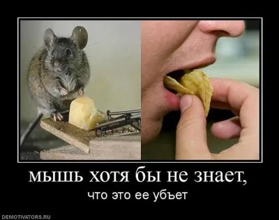 Славянские Демотиваторы Часть 18