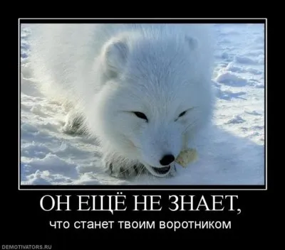 Славянские Демотиваторы Часть 18