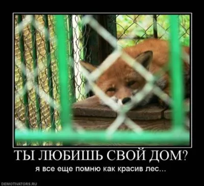 Славянские Демотиваторы Часть 18
