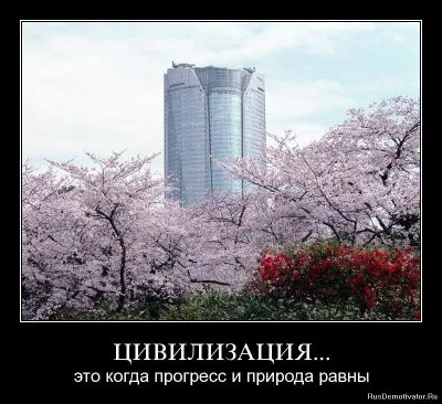 Кто мы? Глава VII - Цивилизация