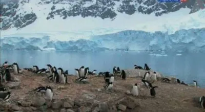 Внимание, Антарктика! Глобальное предупреждение / The Antarctica Challenge: A Global Warning (2009) IPTVRip