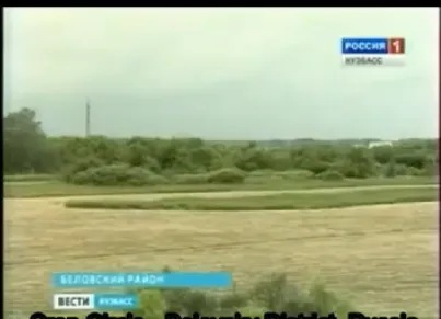 Июль 2011. Круги на полях – Беловский район. Кузбасс.