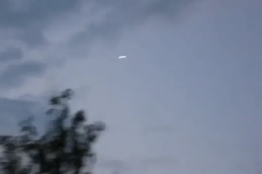 Сварожичи. Начало Июля 2011.