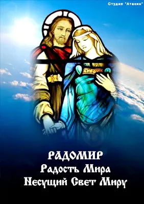 Радость Мира (2011) DVDRip