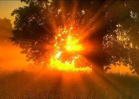 Сварожичи. Подготовка контакта. Июль 2011.