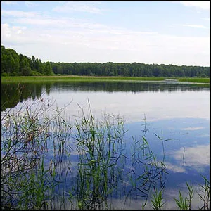 Город, явившийся из праха