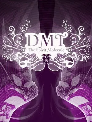 ДМТ Молекула духа / DMT: The Spirit Molecule