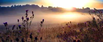 Три этапа Ведического развития в современном мире