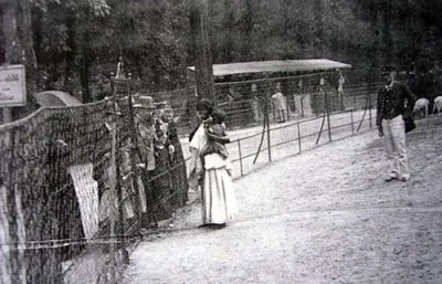 Негры в зоопарках Европы
