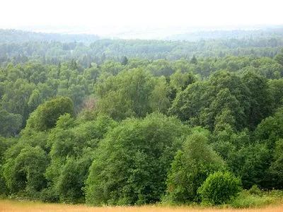 Страх перед русским народом