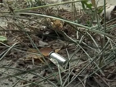 Власть дрогнула!