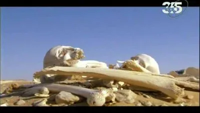 Разгадка египетских тайн. Подлинный Рамзес / Egypt unwrapped. Original Ramses (2006/SATRip)