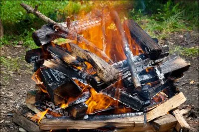 Организация «РА Свет» с 4 по 7 августа 2011 г. проводит учебно-практический семинар «ОСНОВЫ КУЛЬТУРНОЙ ЖИЗНИ В УСЛОВИЯХ ДИКОЙ ПРИРОДЫ»