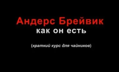 Кто он - Норвежский стрелок (Андерс Брейвик)