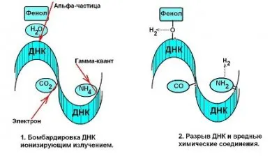 Человек умирает от радиации