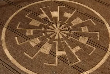 Сварожичи. Август 2011. Круги на полях.