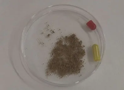 Мертвые дети это хорошие таблетки для выносливости