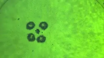 Американцы создали самоорганизующихся микроботов