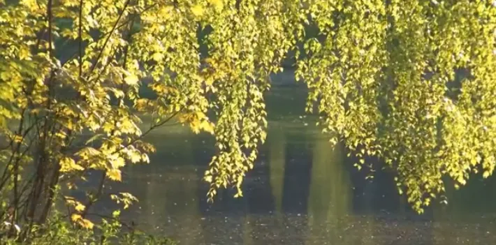 Сила Сердца. Владимир Антонов. Искусство Быть Счастливым.